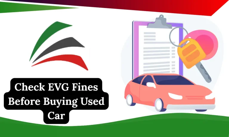Check EVG Fines Before Buying Used Car