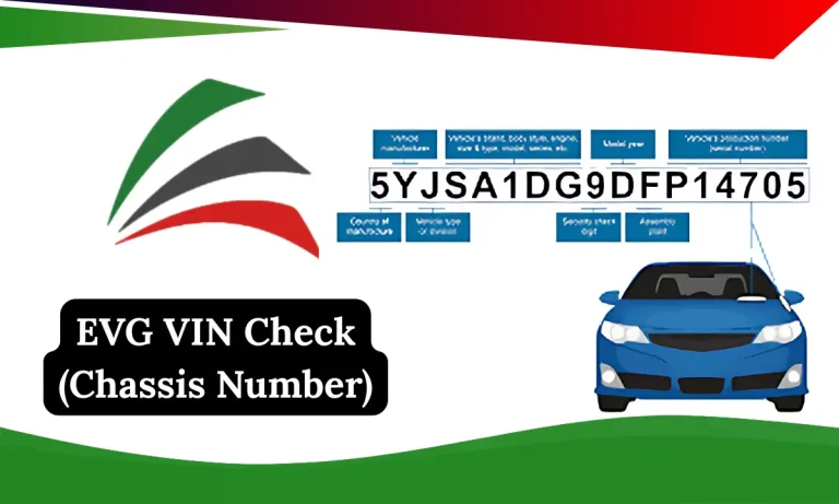 EVG VIN Check (Chassis Number)