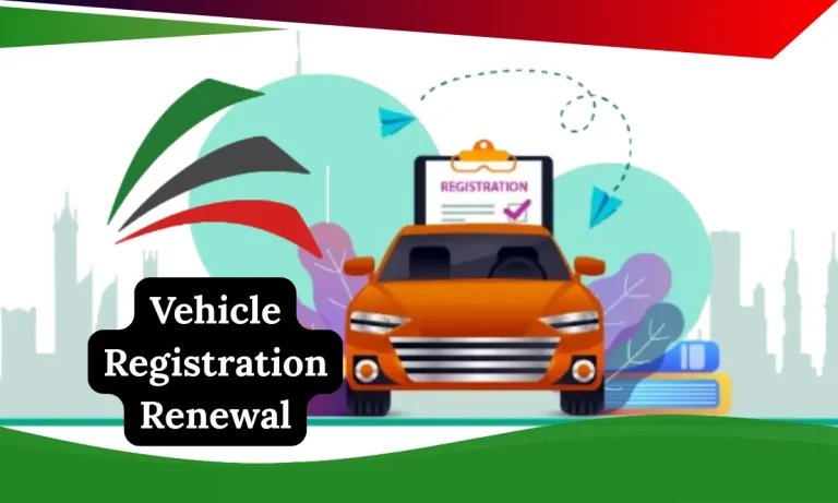 Vehicle Registration Renewal